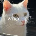 who up Discord server icon