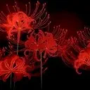 爱 | Comunidade Vermelha  Discord Server Icon