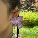 hydrangea 　 ࣪　ৎ୭ Discord Server Icon