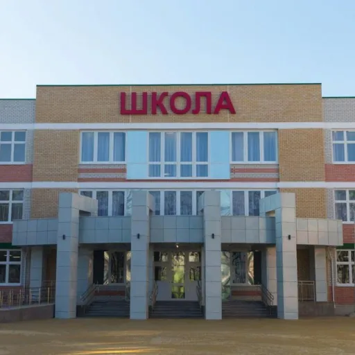 Школа валентайма — мониторинг Discord сервера, статистика и рейтинг