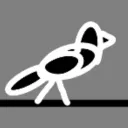 The TightRope Crows