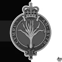 |•| The Welsh Guards |•|