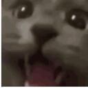The Gooners Discord Server Icon