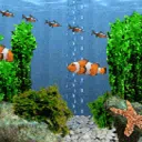FISH TANK