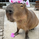 Ngôi Nhà Của Ta 🏡