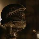 Discord servers tagged with halo-rp | DISBOARD