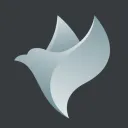 Dollar Pigeon Banner