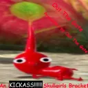 OUT THE GATE (a bracket(the server))