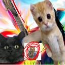    meowballers    Discord Server Icon