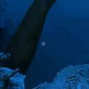 The Deep Blue !! Discord Server Icon