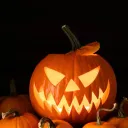 Phoenix’s Pumpkin Patch 🎃💀🕷🦎🧙♀(Retired Dunncord)