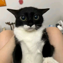 /littleroom Discord server icon