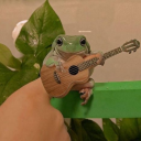 Frog Fantasy Server Icon