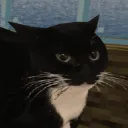 Noodle's Mod Server