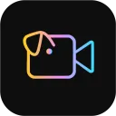Videoinu