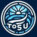Town of Salem United