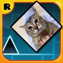 Dashblox