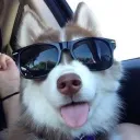 𝐀𝐥𝐚𝐰𝐚𝐲𝐬 𝐇𝐞𝐫𝐞 Discord server icon