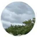 Sugardaddy’s Server-