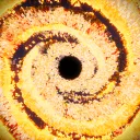 Quasar