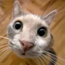 gbyfuvimdcvugrnbvfimvjgnbuficdkvunfcdiokvgrnbuvfkdk mhgnbujkgnburfidviugrnbvmfiodcvigrbunvmo,k vgiur