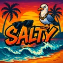 Saltys server