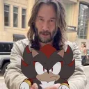 Bug Terrarium Discord Server Icon