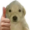 ꜰᴀʏ