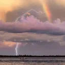 College of Queers Discord Server Icon