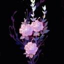  🪷 Floral Gardens 🪷  Discord Server Icon