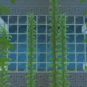 Opla Manerda Progress Server