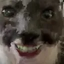 most cracked ch rp server discord icon