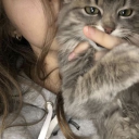 /𝐚𝐦𝐨𝐫𝐞