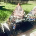 Sanctuary Basecamp Wellness Group
