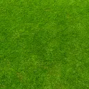 The Funzys Discord server icon