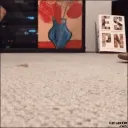 Meowcraft
