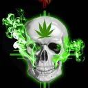 V2 Esports discord icon