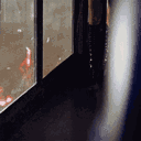 revamping /decay