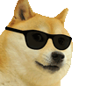 Z Dev icon
