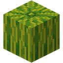 Meloen SMP Discord Server Icon