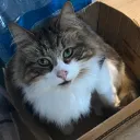 The Crate