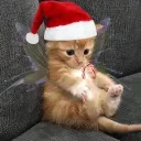catty