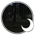 🕸﹐The Den﹑ᶻz