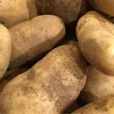 The House of Starch