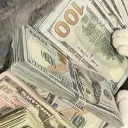 Vouches