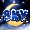스카이