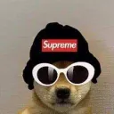 MrDawgNation