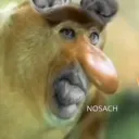 сочные фембои 🏳⚧ Genshin Impact (dcp)