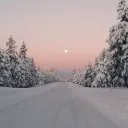 Winter friends Discord Server Icon