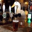 The Drunken Duck